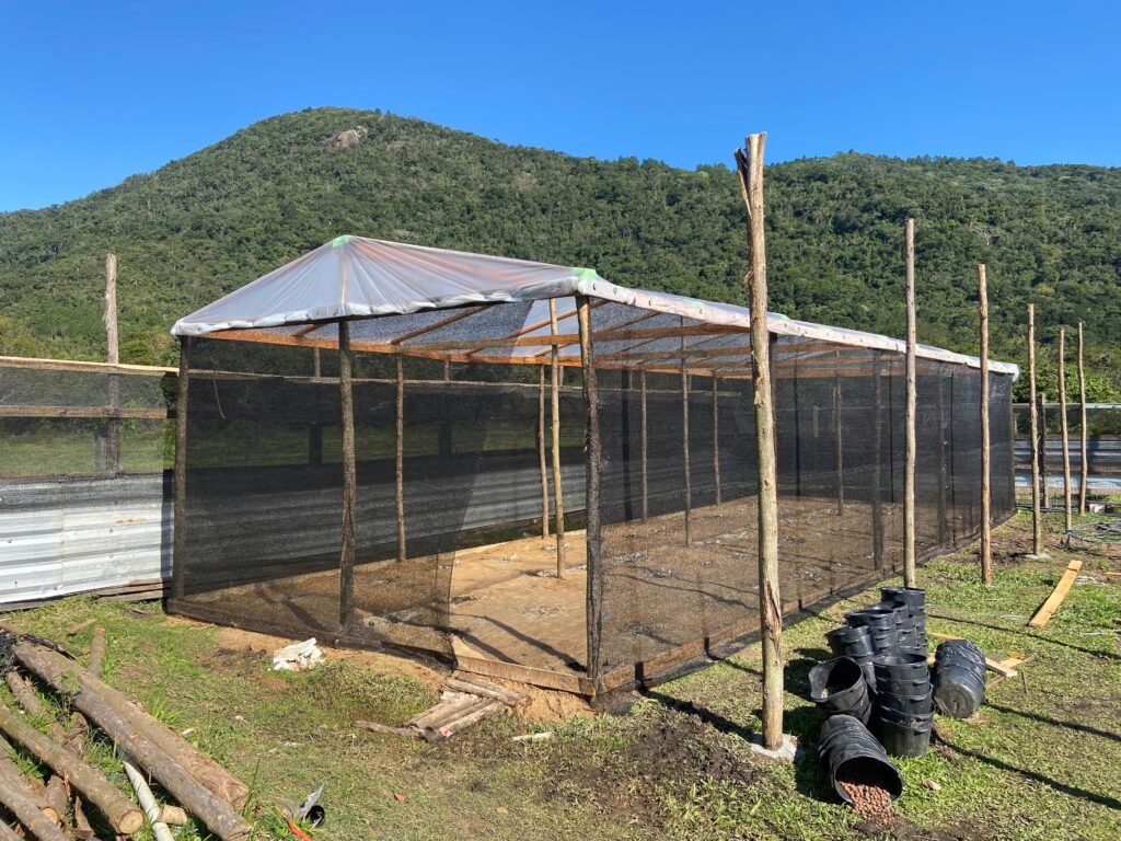 Estufa de cultivo do Instituto cannabis do bem