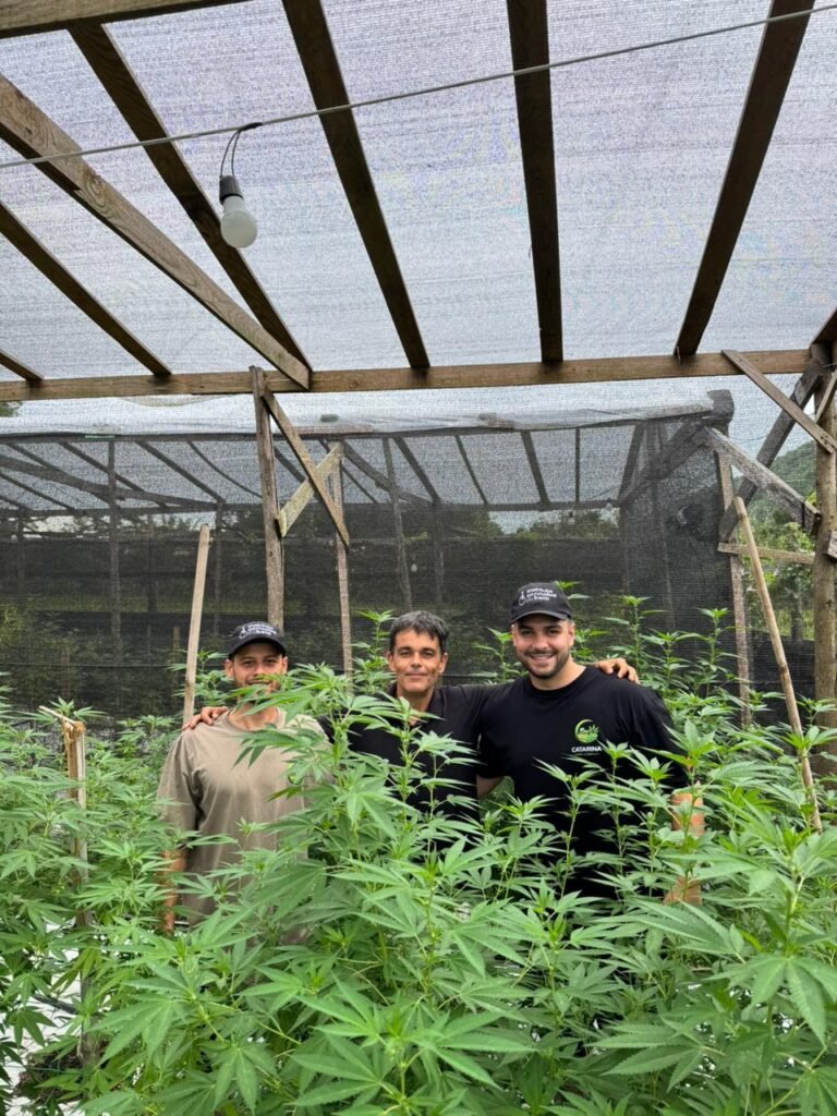 Registro fotográfico do Instituto Cannabis do Bem