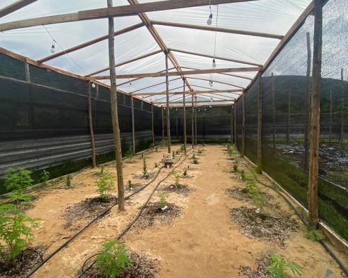 WhatsApp Image 2025-11-19 at 18.07.21