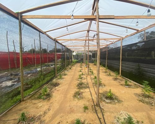 WhatsApp Image 2025-11-19 at 18.07.34