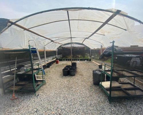 WhatsApp Image 2025-11-19 at 18.07.35