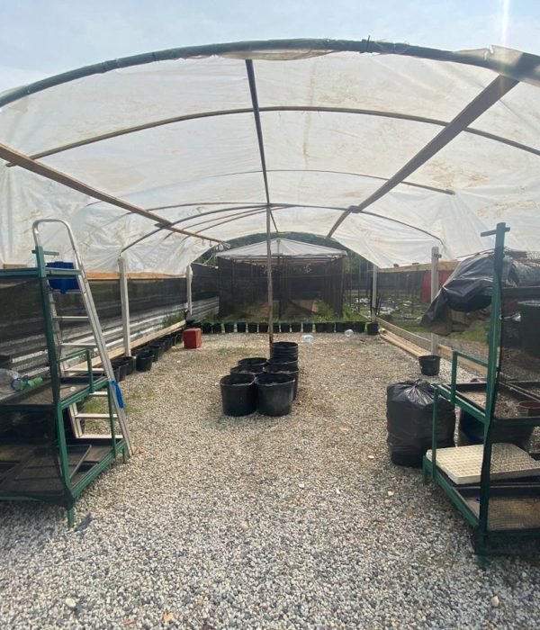 WhatsApp Image 2025-11-19 at 18.07.35