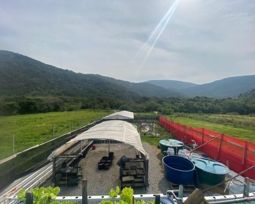 WhatsApp Image 2025-11-19 at 18.07.53