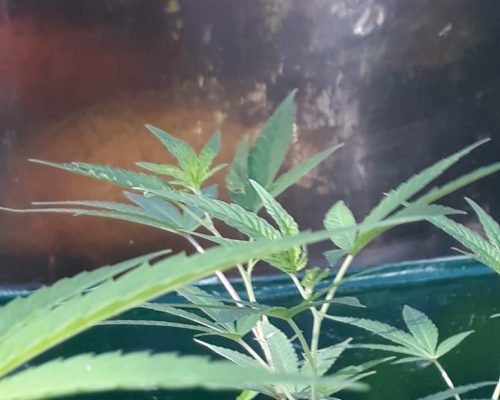 WhatsApp Image 2025-11-19 at 19.59.46